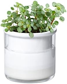 Phoenix Vine 4 Inch Self Watering Planter Pot, Design White Terracotta Pots for Plants, Indoor Cylinder Terra Cotta Pots with Glass Vase, Set of 1, 51-B-E-1
