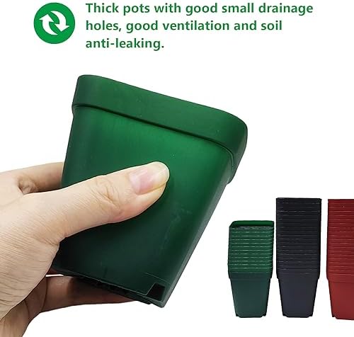 RooTrimmer Square Plastic Nursery Pot 3" 120 Pcs Deep Succulent Pots