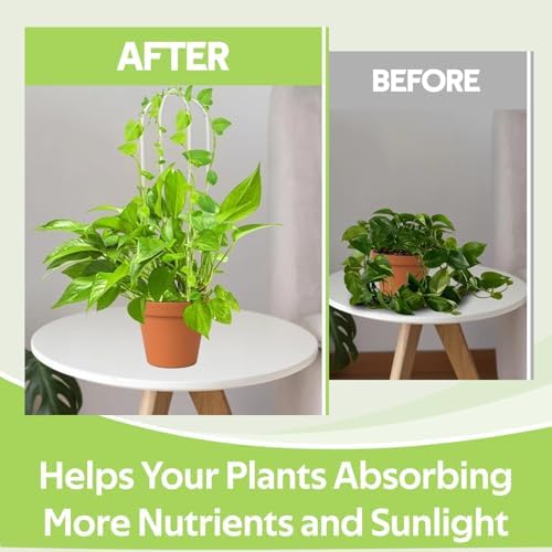 8 Pack Clear Acrylic Plant Trellis for Potted Plants Indoor Outdoor - Thickened U-Shaped & Round Small Trellis for Climbing Plants - Plant Support Stakes for Houseplant Flower Hoya Pothos Vine Ivy