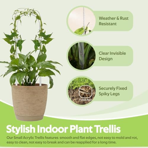 8 Pack Clear Acrylic Plant Trellis for Potted Plants Indoor Outdoor - Thickened U-Shaped & Round Small Trellis for Climbing Plants - Plant Support Stakes for Houseplant Flower Hoya Pothos Vine Ivy