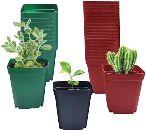 RooTrimmer Square Plastic Nursery Pot 3" 120 Pcs Deep Succulent Pots