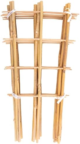 Avalution 10 Pack Bamboo Trellis for Climbing Plants 16" Natural