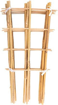 Avalution 10 Pack Bamboo Trellis for Climbing Plants 16" Natural