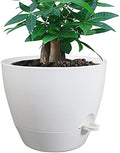 UOUZ 12inch Self Watering Pots, Plastic Planters with Mesh Drainage Holes and Deep Reservoir for Indoor Outdoor Garden Plants and Flowers, White