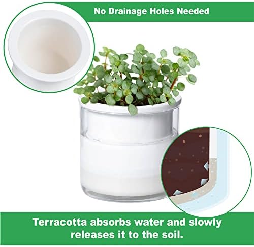 Phoenix Vine 4 Inch Self Watering Planter Pot, Design White Terracotta Pots for Plants, Indoor Cylinder Terra Cotta Pots with Glass Vase, Set of 1, 51-B-E-1
