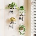 YUOROS 3 Pack Wall Plant Holder Wall Planters for Indoor Plants (Black)