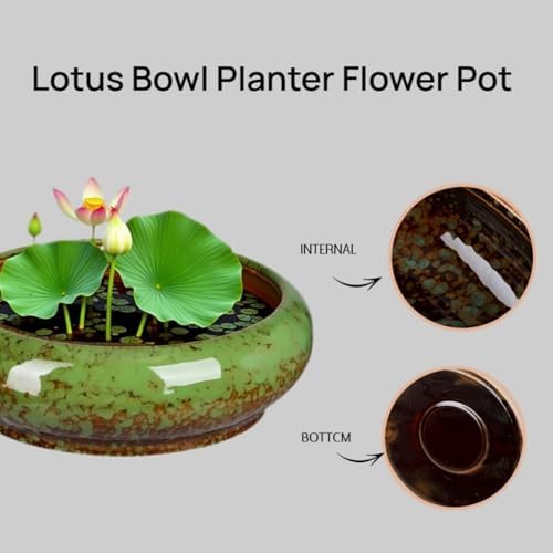 7.3 Inch Succulent Planters Pots Shallow Ceramic Glazed Planter Pots