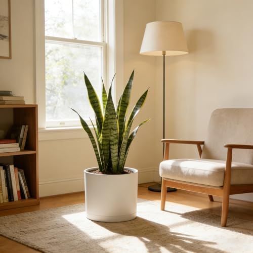 10 Inch Round Plastic Plant Pot with Drainage Holes and Saucer, Wide