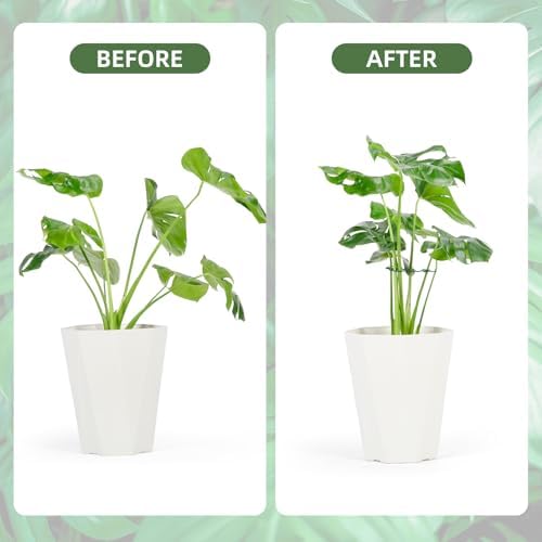 6PCS Iron Monstera Plant Support, Uniquely Designed Indoor Plant Accessories, Stable Plant Support Stakes for Indoor Plant, Turtle Shell Bamboo Clamp Set for Thriving Growth