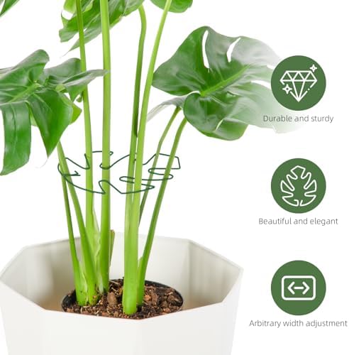 6PCS Iron Monstera Plant Support, Uniquely Designed Indoor Plant Accessories, Stable Plant Support Stakes for Indoor Plant, Turtle Shell Bamboo Clamp Set for Thriving Growth