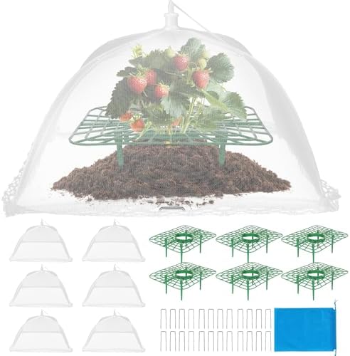 6 Sets Strawberry Plant Support with Mesh Plant Cover,Strawberry