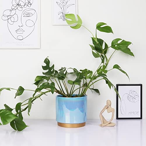 Gepege Ceramic Pots for Plants, Rainbow Pearl Glaze Planter with
