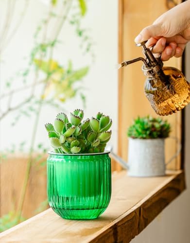 Melphoe Self Watering Pots for Indoor Plants Planter, 4.3 Inch 2 Pack