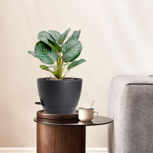 WSMKSZ 10 inch Self Watering Pots, 2 Pack Plastic Planters with Mesh