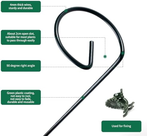 12 Pack Plant Support Stakes with 24 Pcs Plant Clips, Garden Single Stem Support Stake, Plant Cage Support Ring for Indoor Outdoor Flowers Rose Amaryllis Tomatoes Peony Lily Orchid (16 Inch)