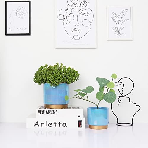 Gepege Ceramic Pots for Plants, Rainbow Pearl Glaze Planter with