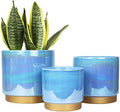 Gepege Ceramic Pots for Plants, Rainbow Pearl Glaze Planter with