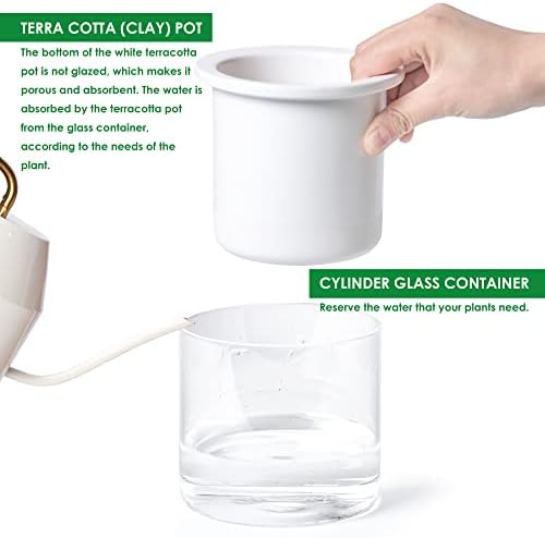 Phoenix Vine 4 Inch Self Watering Planter Pot, Design White Terracotta Pots for Plants, Indoor Cylinder Terra Cotta Pots with Glass Vase, Set of 1, 51-B-E-1