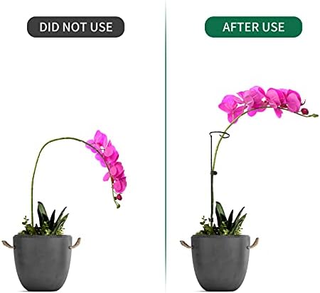 12 Pack Plant Support Stakes with 24 Pcs Plant Clips, Garden Single Stem Support Stake, Plant Cage Support Ring for Indoor Outdoor Flowers Rose Amaryllis Tomatoes Peony Lily Orchid (16 Inch)
