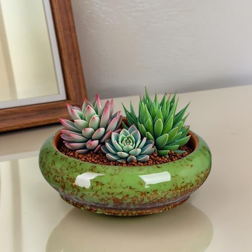 7.3 Inch Succulent Planters Pots Shallow Ceramic Glazed Planter Pots
