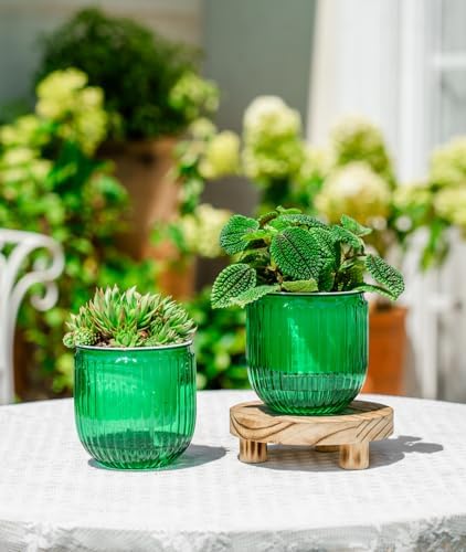 Melphoe Self Watering Pots for Indoor Plants Planter, 4.3 Inch 2 Pack