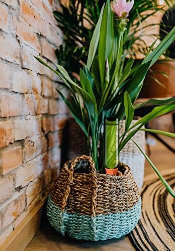 B SEPOR Ceramic Plant Waterer Terracotta Self Watering Spikes for