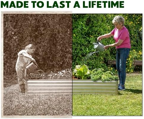 Plant & Plot Galvanized Raised Garden Beds Outdoor // 8×4×1 ft Planter Raised Beds for Gardening, Vegetables, Flowers (Silver) // Large Metal Garden Box // Patented Tool-Free Design
