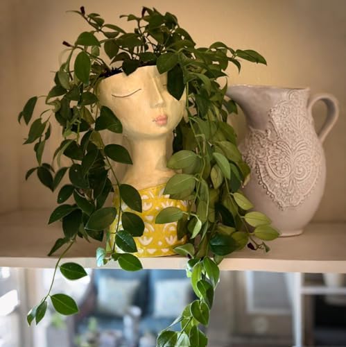 DiliComing Face Planter-Pots for Indoor Plants - 11 Inch Tall Planters