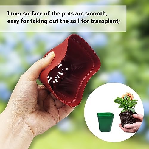 RooTrimmer Square Plastic Nursery Pot 3" 120 Pcs Deep Succulent Pots