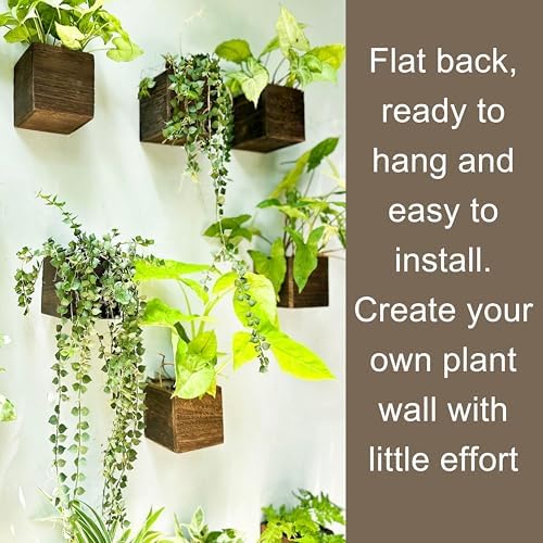 LaLaGreen Planter Boxes for Indoor Plant (4x4, 6 Pack) Wooden Wall Planters