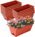 Window Box Planter,12Pack Plastic Vegetable Flower Planters Boxes