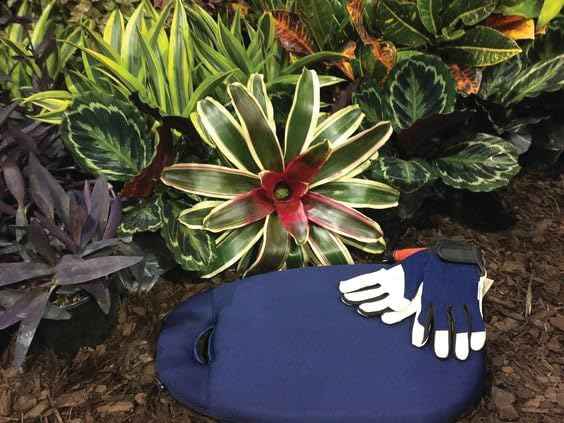 Garden Works Komfy Kneeler