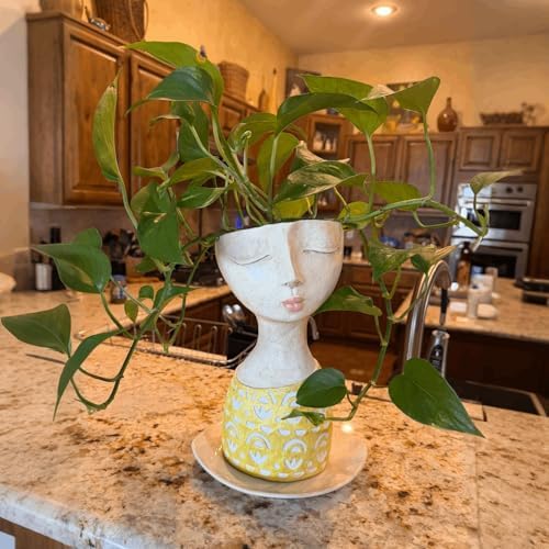 DiliComing Face Planter-Pots for Indoor Plants - 11 Inch Tall Planters