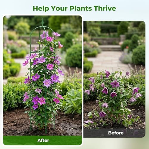 2 Pack Garden Obelisk Trellis for Climbing Plants, 6 FT Metal Rustproof Plant Support Rose Trellis, Tower Potted Cages for Flowers Fruits Vegetable Vines Indoor & Outdoor, Green(4 Tiers)