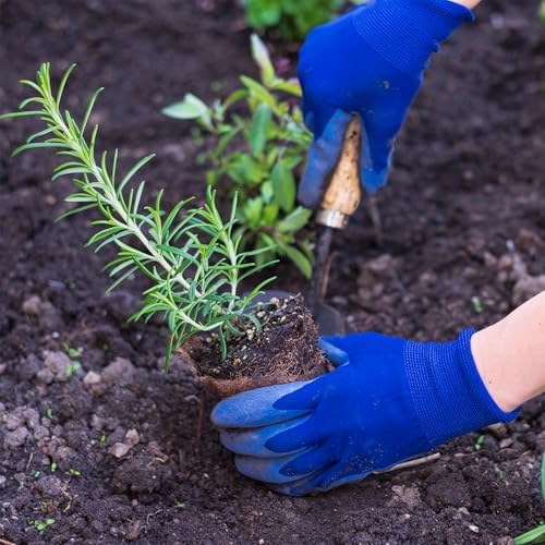 100 Pack 4 Inch Peat Pots, Biodegradable Seed Starter Pots with