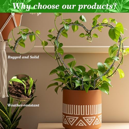 Ouligay 2PCS Pothos Plant Climber Support Indoor Plant Trellis Heart-Shaped Trellis for Climbing Plants for Potted Plants Black Durable Metal Iron Support for Vines and Flowers