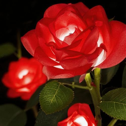 Solar Garden Lights Outdoor, 2 Pack Realistic Rose Flower Stake