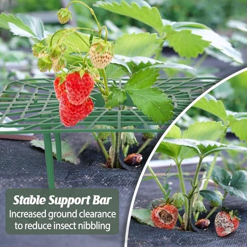 6 Sets Strawberry Plant Support with Mesh Plant Cover,Strawberry