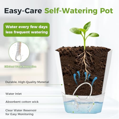 2 Pack Self Watering Pots for Indoor Plants, 8.4 Inches Self Watering Planters Large African Violet Self Watering Clear Pots for Plants Large Herb Orchid Flower Houseplant Pots, White