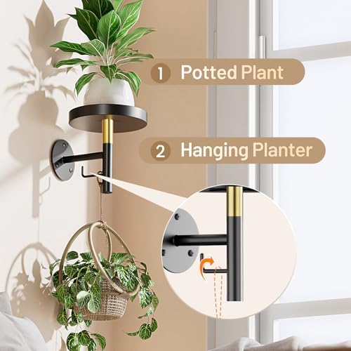 YUOROS 3 Pack Wall Plant Holder Wall Planters for Indoor Plants (Black)