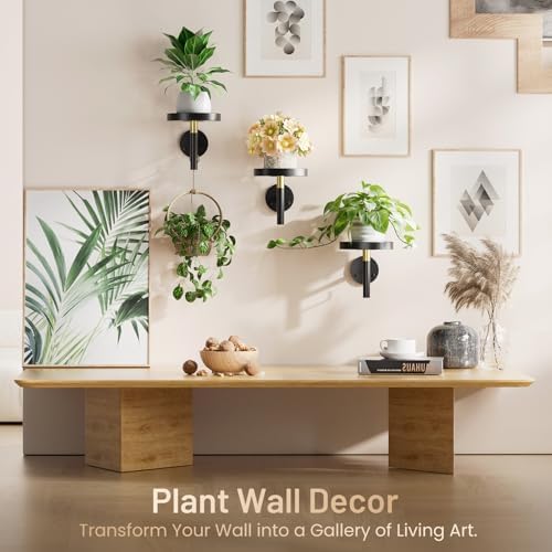 YUOROS 3 Pack Wall Plant Holder Wall Planters for Indoor Plants (Black)