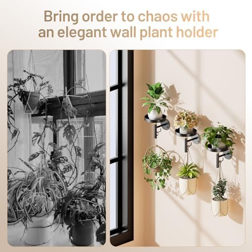 YUOROS 3 Pack Wall Plant Holder Wall Planters for Indoor Plants (Black)