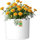 10 Inch Round Plastic Plant Pot with Drainage Holes and Saucer, Wide