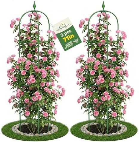 2 Pack Garden Obelisk Trellis for Climbing Plants, 6 FT Metal Rustproof Plant Support Rose Trellis, Tower Potted Cages for Flowers Fruits Vegetable Vines Indoor & Outdoor, Green(4 Tiers)