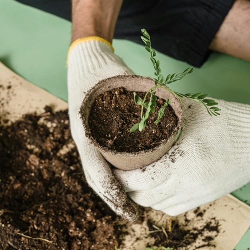 100 Pack 4 Inch Peat Pots, Biodegradable Seed Starter Pots with