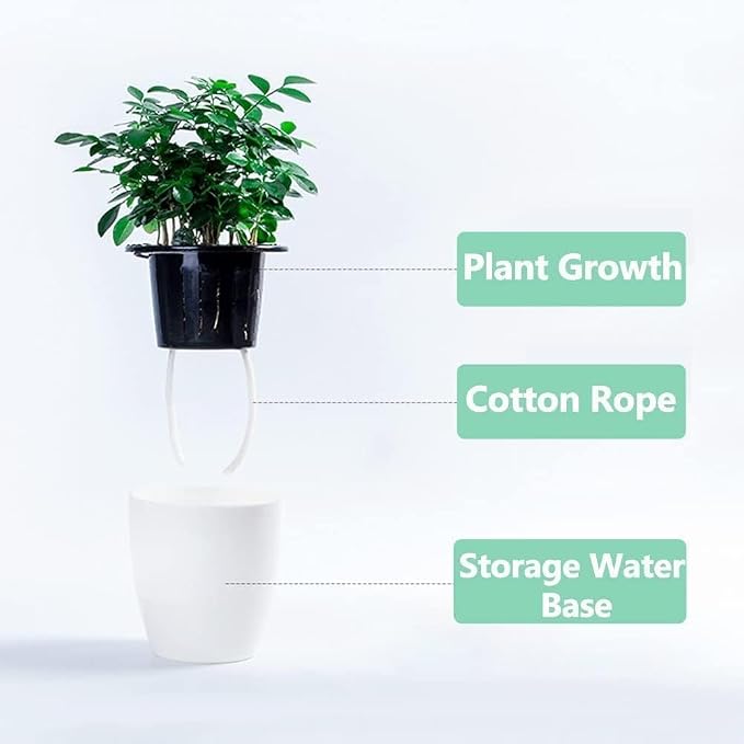 6 Pcs 3.5“ Self Watering Planter White Flower Pot, Flowers Plants, Small Mini - Image 5