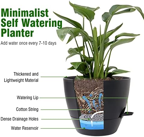 WSMKSZ 10 inch Self Watering Pots, 2 Pack Plastic Planters with Mesh