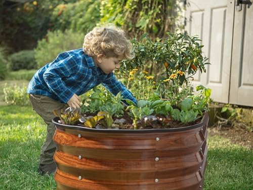 Plant & Plot Galvanized Raised Garden Beds Outdoor // 4×2×1 ft (2-Pack) Planter Raised Beds for Gardening, Vegetables, Flowers (Dark Wood Grain) // Large Metal Garden Box