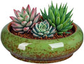 7.3 Inch Succulent Planters Pots Shallow Ceramic Glazed Planter Pots