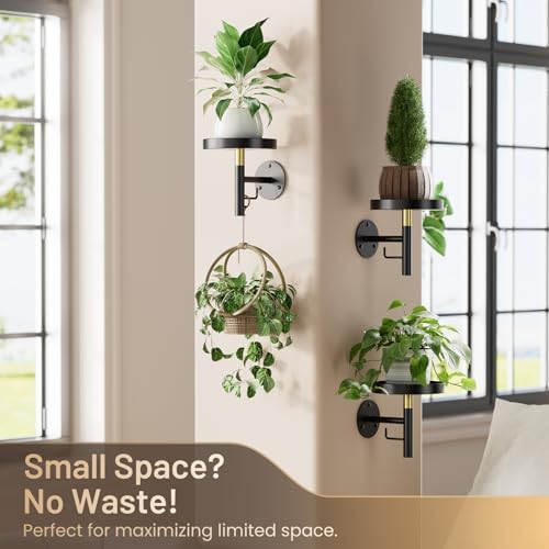 YUOROS 3 Pack Wall Plant Holder Wall Planters for Indoor Plants (Black)